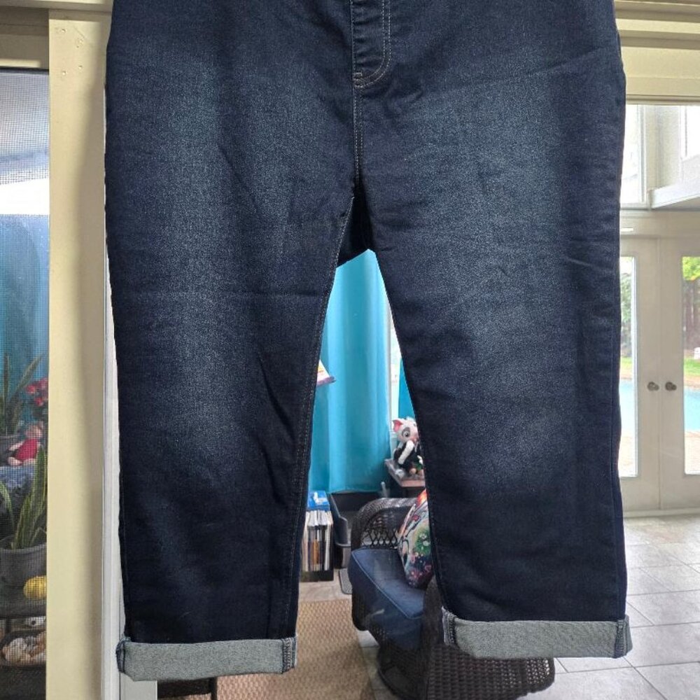 Terra & Sky- Capris Jeans (Jeggings) (Set of 3) Size 0X (14W)